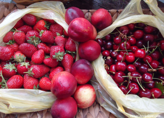 Болгария. Фрукты в мае