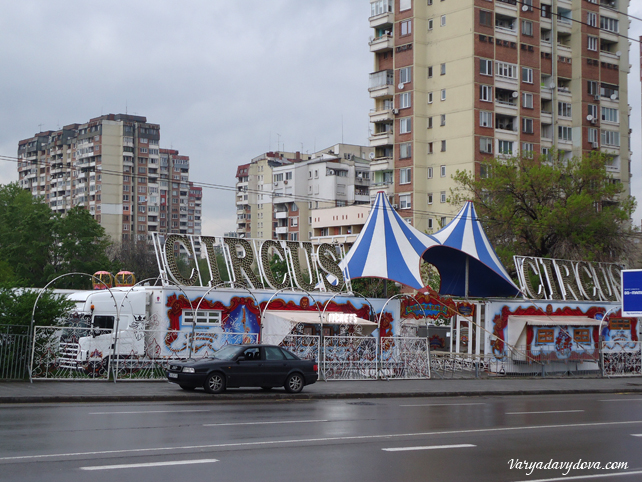 Балкански цирк