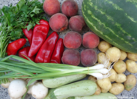 Продукты в Болгарии. Июль