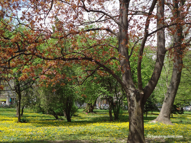 Весна в Софии.Фото