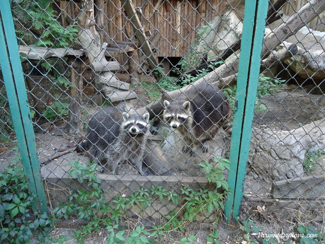 Зоопарк в Софии
